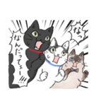 猫さんちのねこさんたち（個別スタンプ：22）