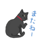 猫さんちのねこさんたち（個別スタンプ：31）