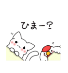 チキンねこ 2（個別スタンプ：29）