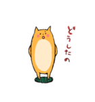 めんこーズ（個別スタンプ：17）