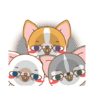 dog and cat are crazy（個別スタンプ：3）