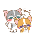 dog and cat are crazy（個別スタンプ：7）