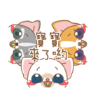 dog and cat are crazy（個別スタンプ：17）