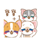 dog and cat are crazy（個別スタンプ：39）