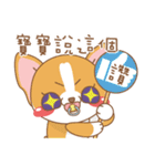 dog and cat are crazy（個別スタンプ：40）