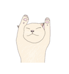 おふとぅんねこ（個別スタンプ：1）