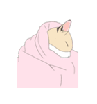 おふとぅんねこ（個別スタンプ：3）