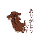 トイプードルの敬語スタンプ（個別スタンプ：1）