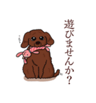 トイプードルの敬語スタンプ（個別スタンプ：2）