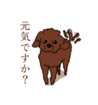 トイプードルの敬語スタンプ（個別スタンプ：3）