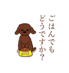 トイプードルの敬語スタンプ（個別スタンプ：4）