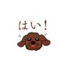 トイプードルの敬語スタンプ（個別スタンプ：6）