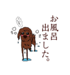 トイプードルの敬語スタンプ（個別スタンプ：10）