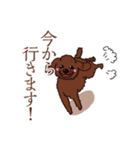 トイプードルの敬語スタンプ（個別スタンプ：12）