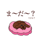 トイプードルの敬語スタンプ（個別スタンプ：13）