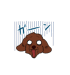 トイプードルの敬語スタンプ（個別スタンプ：20）