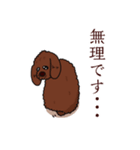 トイプードルの敬語スタンプ（個別スタンプ：23）