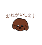 トイプードルの敬語スタンプ（個別スタンプ：34）
