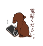 トイプードルの敬語スタンプ（個別スタンプ：36）
