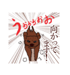 トイプードルの敬語スタンプ（個別スタンプ：38）