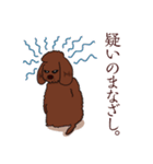 トイプードルの敬語スタンプ（個別スタンプ：40）