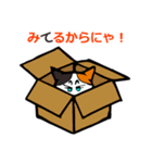 三毛猫グリーンアイもかにゃん（個別スタンプ：13）