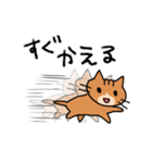 エキサイティング猫2（個別スタンプ：24）