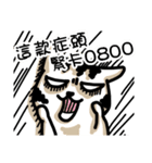 cat'mom diary（個別スタンプ：14）