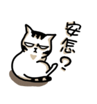 cat'mom diary（個別スタンプ：17）