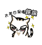 cat'mom diary（個別スタンプ：19）