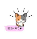 フキダシねこスタンプ（個別スタンプ：2）