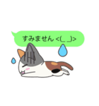 フキダシねこスタンプ（個別スタンプ：10）