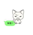 フキダシねこスタンプ（個別スタンプ：12）