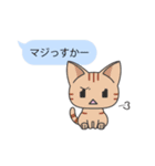 フキダシねこスタンプ（個別スタンプ：14）