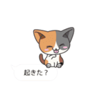 フキダシねこスタンプ（個別スタンプ：26）