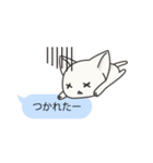 フキダシねこスタンプ（個別スタンプ：36）