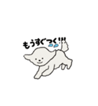 もふもふ犬ベル（個別スタンプ：13）