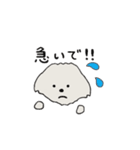 もふもふ犬ベル（個別スタンプ：16）
