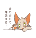 えみにゃんスタンプ（個別スタンプ：17）