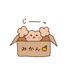 トイプー子の日常（個別スタンプ：29）