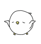 Happy bird's day - roll's daily（個別スタンプ：2）