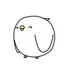 Happy bird's day - roll's daily（個別スタンプ：7）