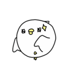 Happy bird's day - roll's daily（個別スタンプ：10）