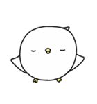 Happy bird's day - roll's daily（個別スタンプ：15）