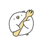 Happy bird's day - roll's daily（個別スタンプ：21）