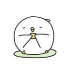 Happy bird's day - roll's daily（個別スタンプ：24）