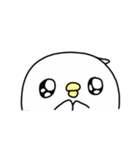 Happy bird's day - roll's daily（個別スタンプ：26）