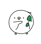 Happy bird's day - roll's daily（個別スタンプ：29）
