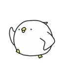 Happy bird's day - roll's daily（個別スタンプ：31）