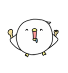 Happy bird's day - roll's daily（個別スタンプ：37）